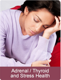 adrenal thyroid and stress health